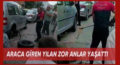 Araca giren yılan zor anlar yaşattı