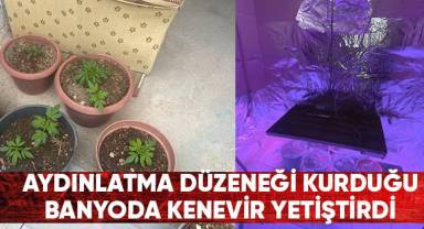 Aydınlatma düzeneği kurduğu banyoda kenevir yetiştirdi