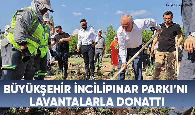 Büyükşehir İncilipınar Parkı’nı lavantalarla donattı