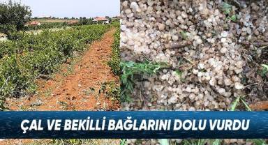 Çal Ve Bekilli Bağlarını Dolu Vurdu