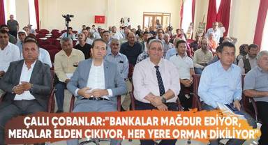 Çallı Çobanlar İsyan Etti
