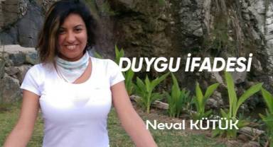 Duygu ifadesi