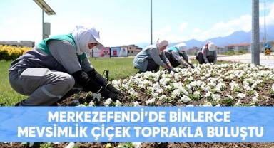 Merkezefendi renkleniyor