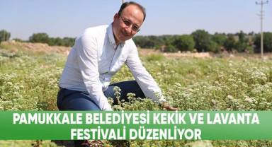 Pamukkale Belediyesi Kekik Ve Lavanta Festivali Düzenliyor