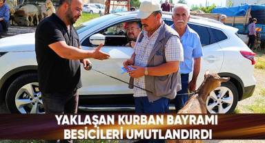 Yaklaşan Kurban Bayramı besicileri umutlandırdı