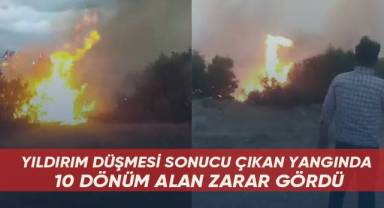 Yıldırım düşmesi sonucu çıkan yangında 10 dönüm alan zarar gördü