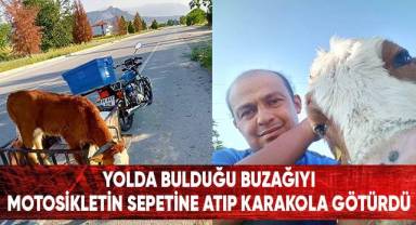 Yolda bulduğu buzağı motosikletin sepetine atıp karakola götürdü