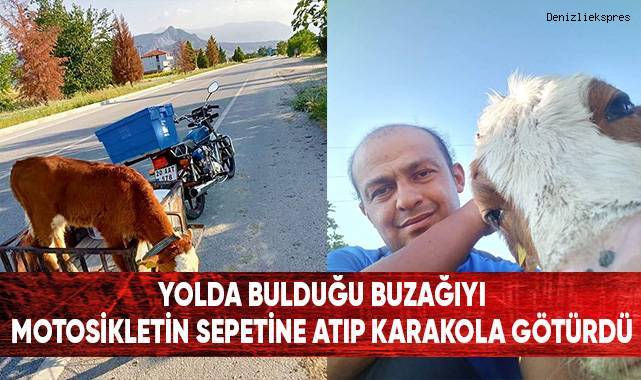 Yolda bulduğu buzağı motosikletin sepetine atıp karakola götürdü