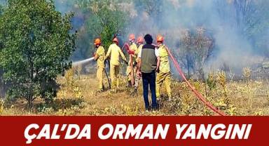 15 dekarlık ormanlık alan küle döndü