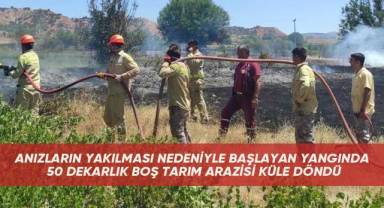 Anız yangını ekili araziye ulaşmadan söndürüldü