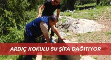 Ardıç kokulu su şifa dağıtıyor