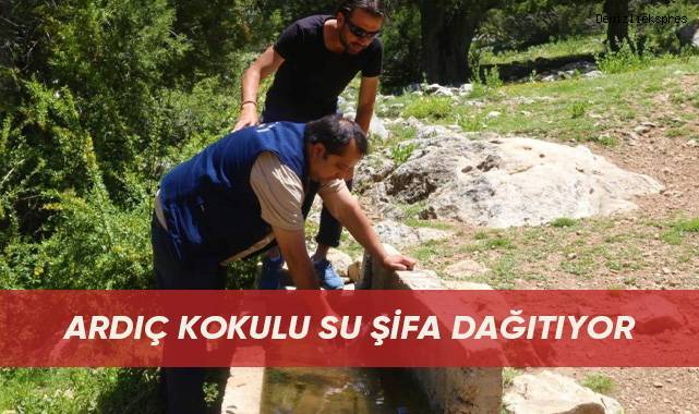 Ardıç kokulu su şifa dağıtıyor