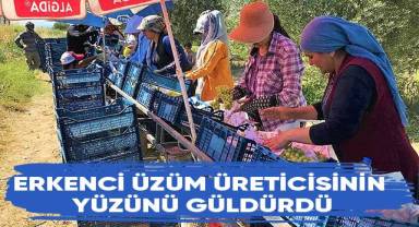 Buldan’da sezonun ilk üzüm hasadı başladı