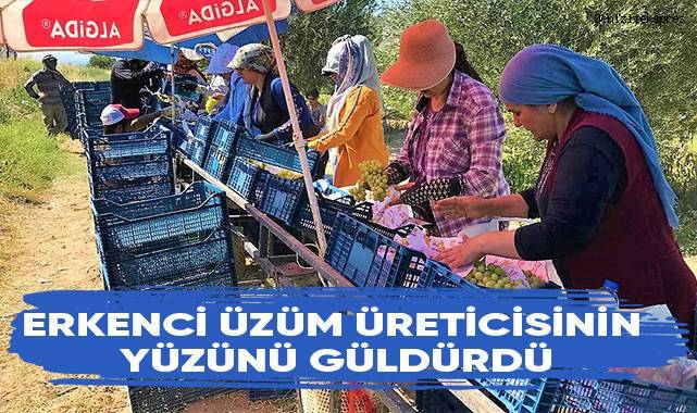 Buldan’da sezonun ilk üzüm hasadı başladı