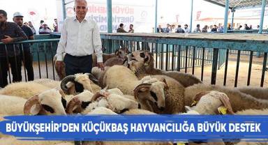 Büyükşehir'den küçükbaş yetiştiricisine yıkama makinesi desteği