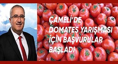 Çameli'de domates yarışması için başvurular başladı