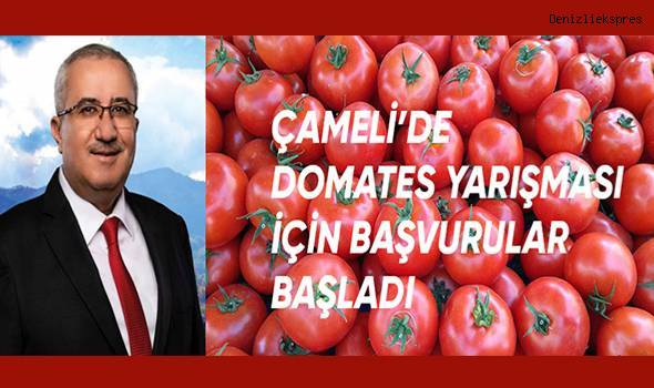 Çameli'de domates yarışması için başvurular başladı