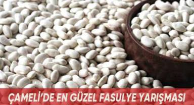 Çameli'de en güzel fasulye yarışması yapılacak