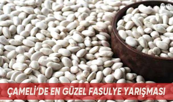 Çameli'de en güzel fasulye yarışması yapılacak