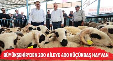 Damızlık koç ve teke destek projesi tamamlandı