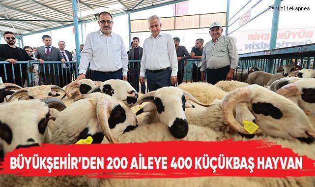 Damızlık koç ve teke destek projesi tamamlandı