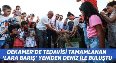 DEKAMER’de Tedavisi Tamamlanan ‘Lara Barış’ Yeniden Deniz İle Buluştu
