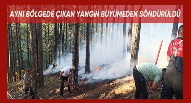 Denizli’de 2 gün önce söndürülen yangın tekrar alevlendi