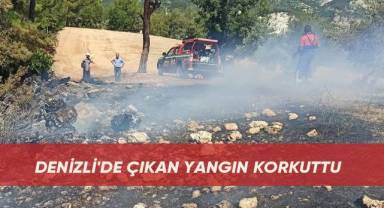 Denizli'de çıkan yangın korkuttu