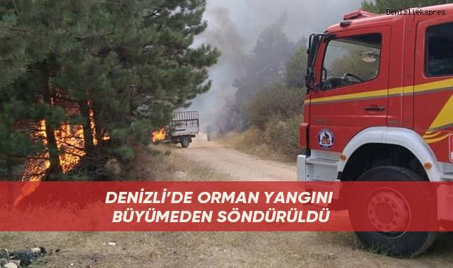 Denizli’de orman yangını büyümeden söndürüldü