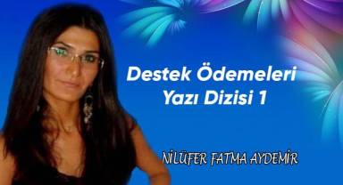 Destek Ödemeleri Yazı Dizisi 1