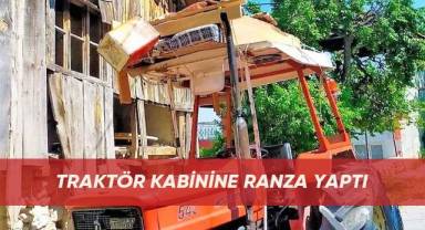 Domuz beklemek için traktör kabinine ranza yaptı