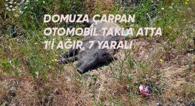 Domuza çarpan otomobil takla attı; 1’i ağır 5 yaralı