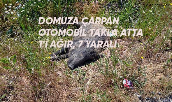 Domuza çarpan otomobil takla attı; 1’i ağır 5 yaralı