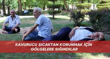 Kavurucu sıcaktan korunmak için gölgelere sığındılar