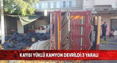 Kayısı yüklü kamyon devrildi: 3 yaralı