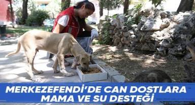 Merkezefendi’de Can Dostlara Mama Ve Su Desteği