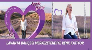 Merkezefendi lavanta kokuyor