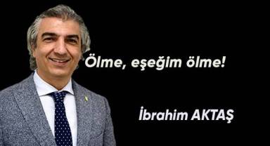 Ölme, eşeğim ölme!