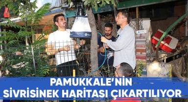 Pamukkale’nin Sivrisinek Haritası Çıkartılıyor