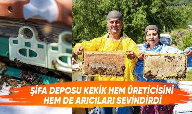 Şifa deposu kekik hem üreticisini hem de arıcıları sevindirdi
