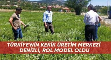 Türkiye'nin kekik üretim merkezi Denizli, rol model oldu