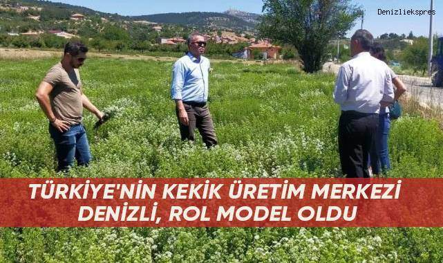Türkiye'nin kekik üretim merkezi Denizli, rol model oldu