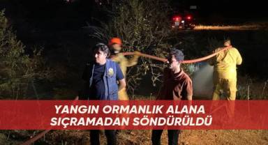 Yangın ormana ulaşamadan söndürüldü