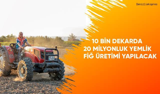 10 bin dekarda 20 milyonluk yemlik fiğ üretimi yapılacak