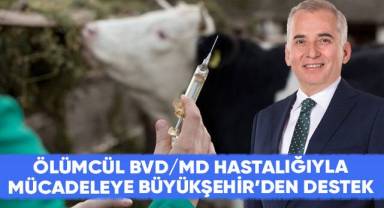 2 bin 500 büyükbaş hayvan aşılanacak, ölümler son bulacak