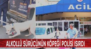 Alkollü sürücünün köpeği polisi ısırdı