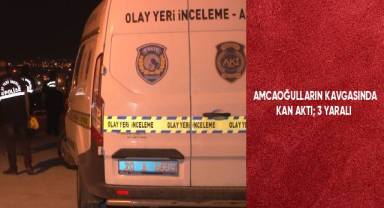 Amcaoğulların kavgasında kan aktı; 3 yaralı