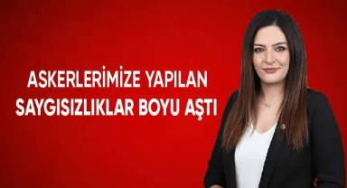 ASKERLERİMİZE YAPILAN SAYGISIZLIKLAR BOYU AŞTI