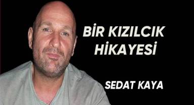 Bir kızılcık hikayesi