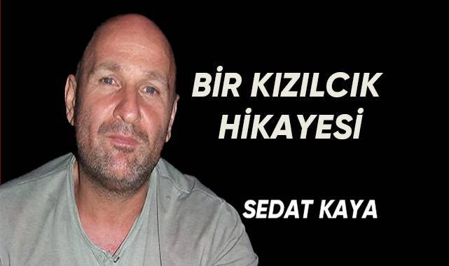 Bir kızılcık hikayesi